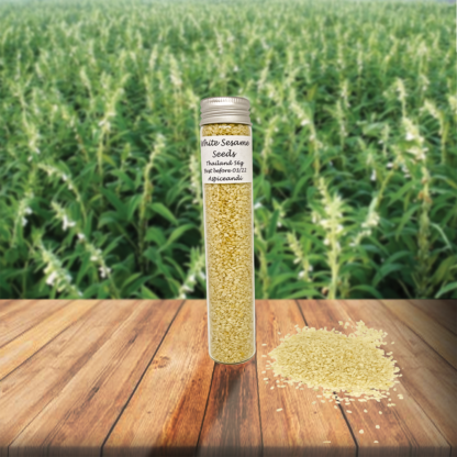 Sesame White seeds